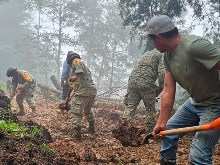 No paran las labores en zonas afectadas por las lluvias