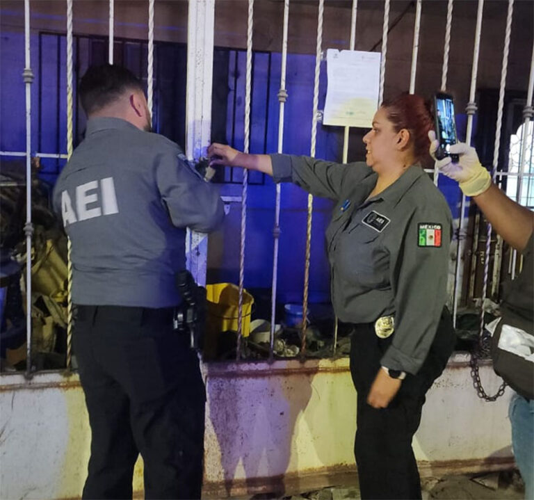 Asegura DABA a 338 mascotas en el lapso de un año