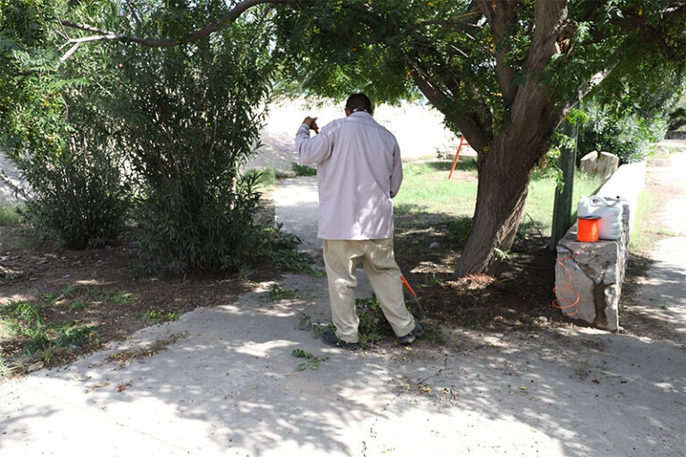 Limpieza y mantenimiento en el Parque Lineal Río Champotón