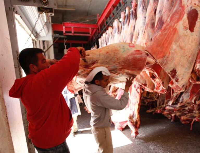 Presenta el Rastro Municipal resultados de octubre