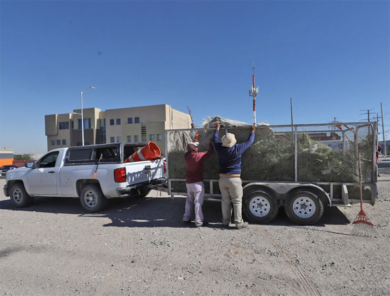 Realizan limpieza en camellón central de la avenida De las Torres