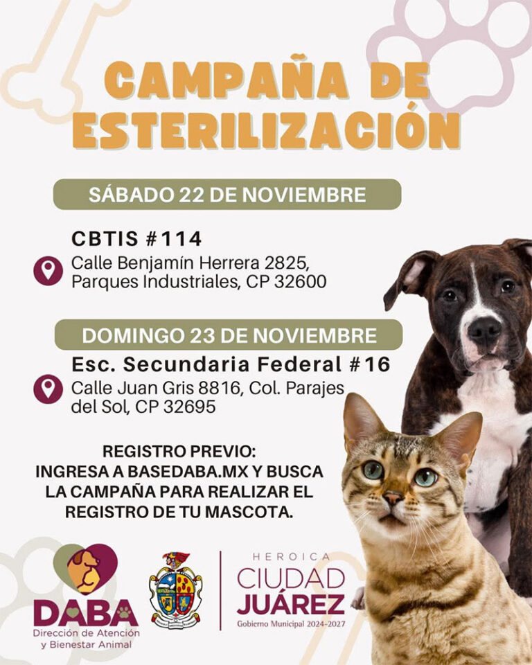 Prepara DABA próximas esterilizaciones gratuitas