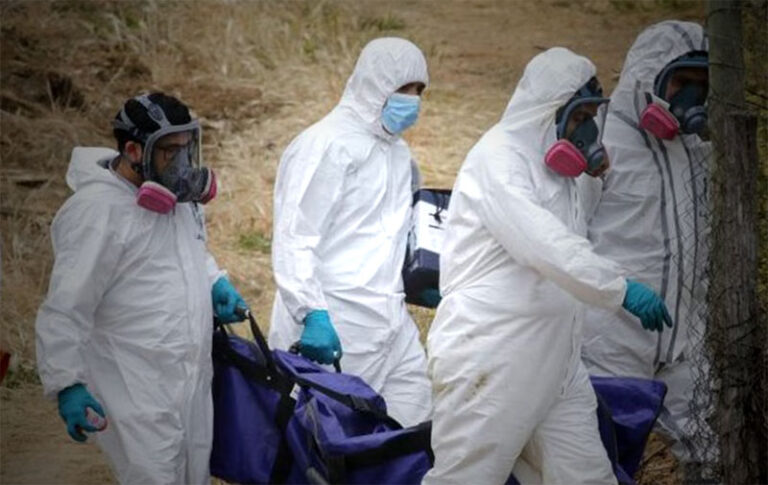 Operativo anti drogas termina con el hallazgo de cuerpos calcinados y descuartizados en Chile