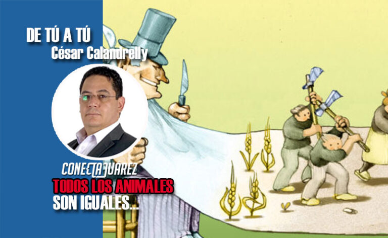 TODOS LOS ANIMALES SON IGUALES…