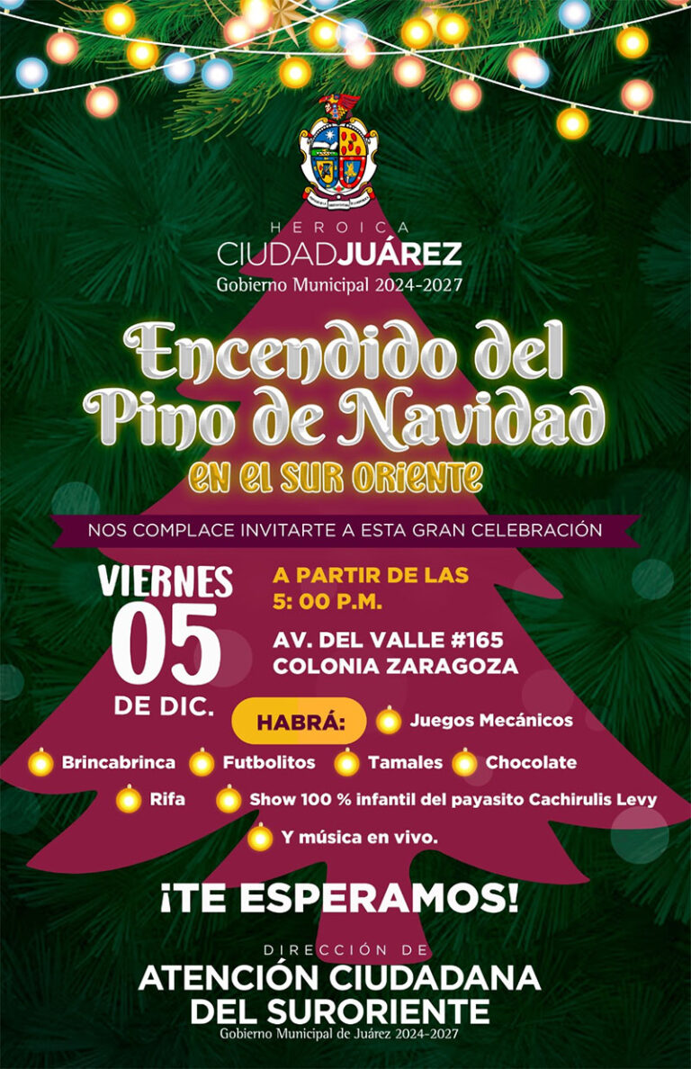 Invitan a la ciudadanía al encendido del árbol navideño en Zaragoza