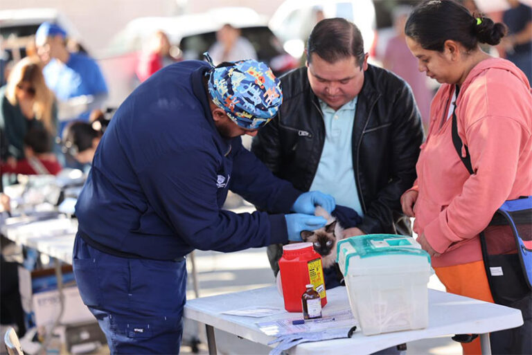 Invita DABA a esterilizar a las mascotas