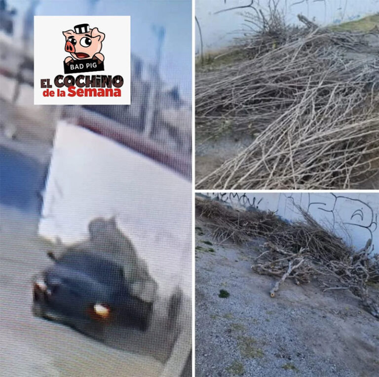 Buscan a los “Cochinos de la Semana” por tirar ramas en la vía pública