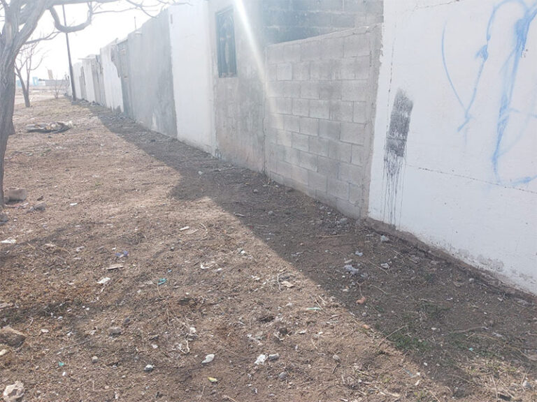 Mejoran áreas verdes en Palmas del Sol para beneficio de las familias