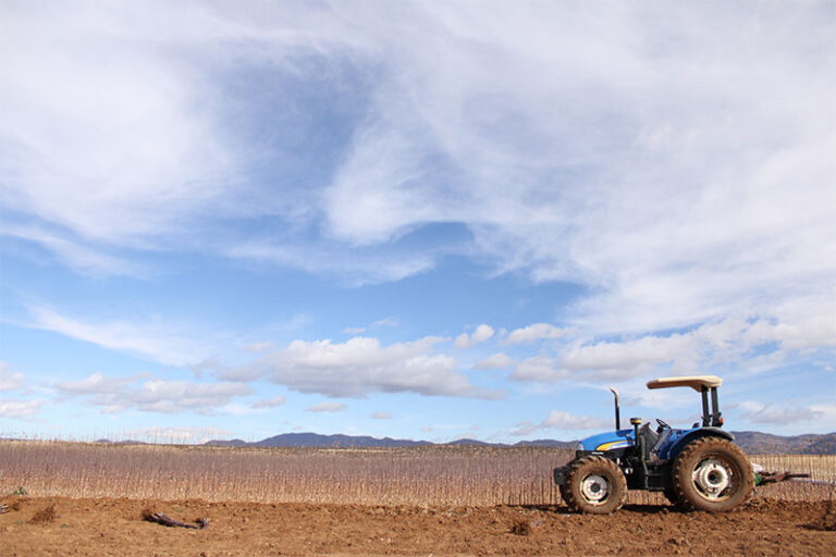 Ofrece SDR créditos emergentes de hasta 315 mil pesos para productores