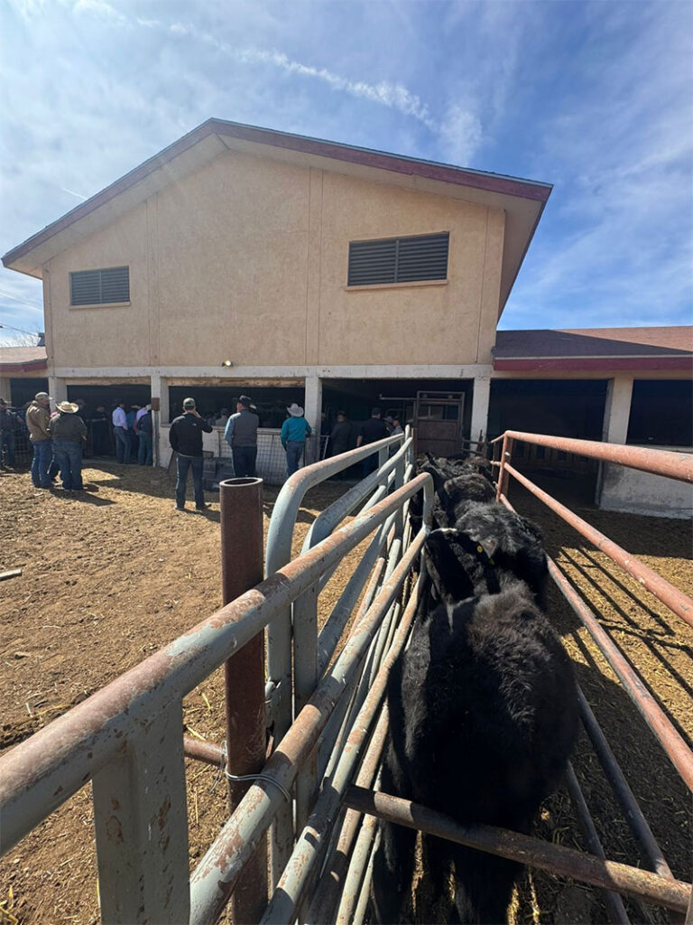 Comparte Gobierno del Estado las acciones que aplica contra el GBG durante reunión binacional en Nuevo México