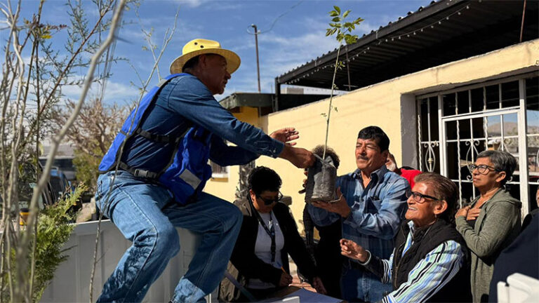 Entrega Gobierno del Estado árboles de ornato y sombra en colonia Azteca