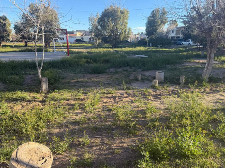 Atienden parque en el fraccionamiento Los Bosques