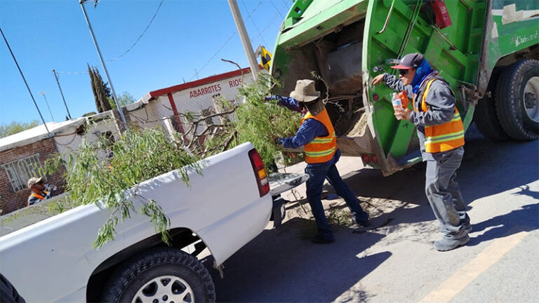 Apoya Servicios Públicos jornada de limpieza en Samalayuca