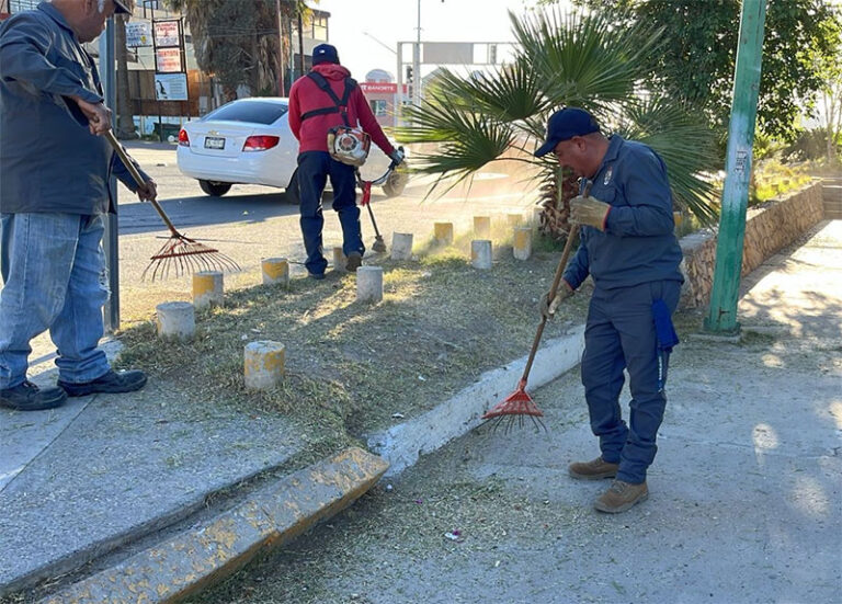Realizan limpieza en distintos puntos de la ciudad