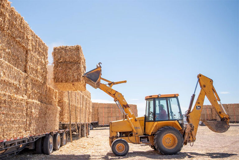 Entrega Gobierno del Estado 500 pacas de rastrojo a productores de Praxedis G Guerrero