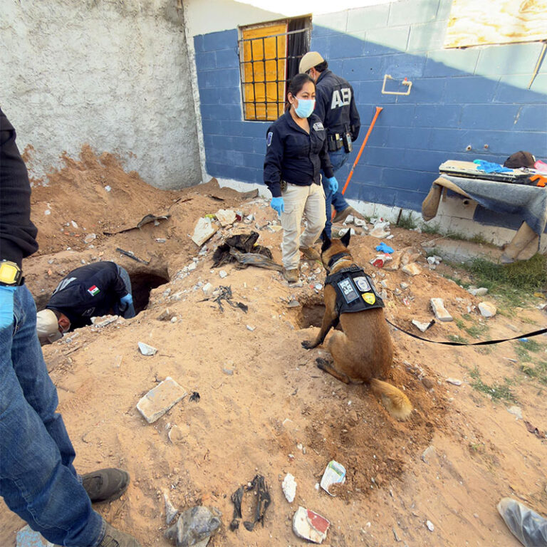Durante cateo, localiza FGE dos cuerpos inhumados en Urbivilla del Cedro
