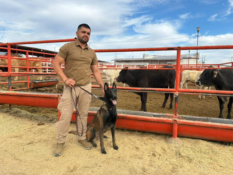 Se suman binomios caninos al blindaje contra el GBG en Chihuahua