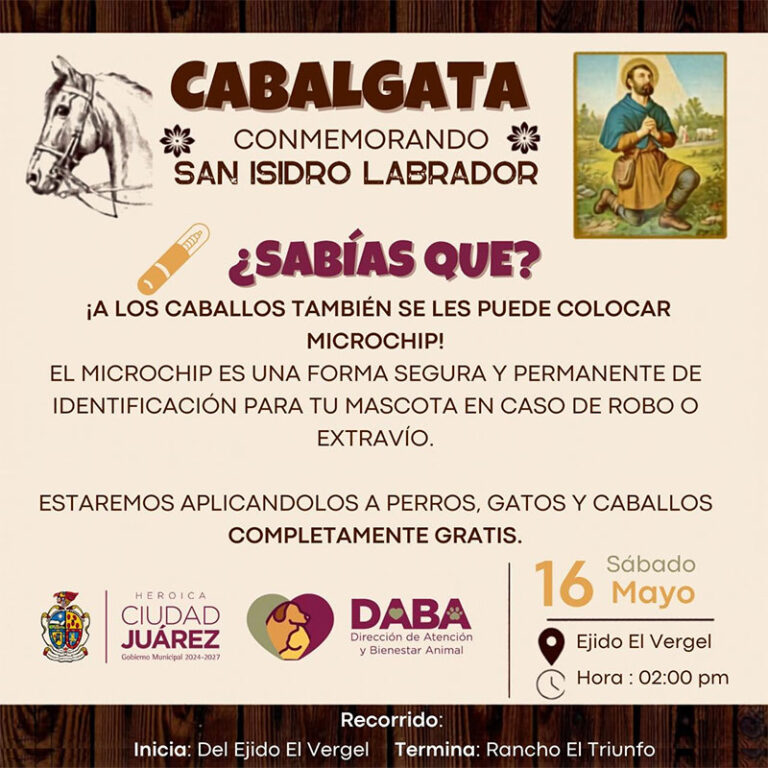 Colocará DABA microchips a caballos en Samalayuca