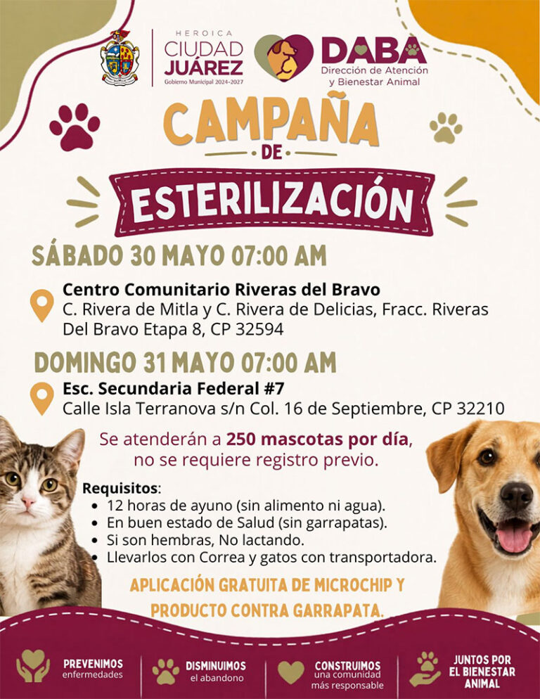 Realizará DABA campaña de esterilización gratuita el fin de semana