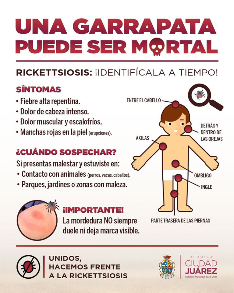 Refuerza Gobierno Municipal acciones contra la rickettsiosis en Ciudad Juárez