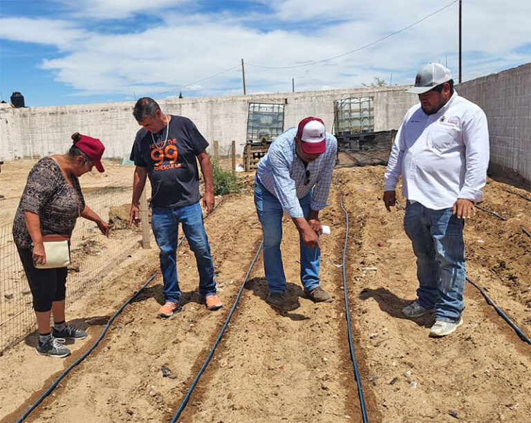 Desarrollo Rural proyecta ampliar huertos familiares en comedores infantiles de la zona de los kilómetros