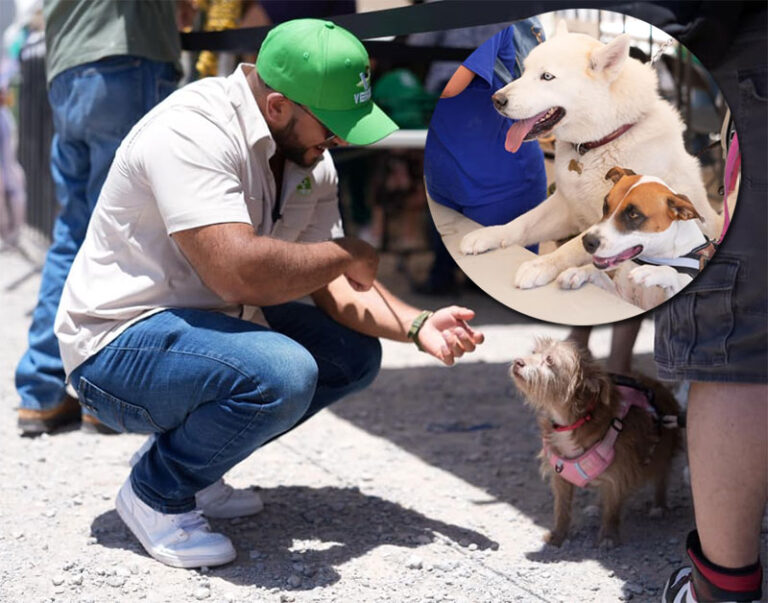 Se han protegido a cientos de mascotas
