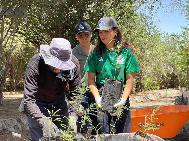 Se suman 50 voluntarios de Foxconn a jornada de trabajo en el Vivero Municipal