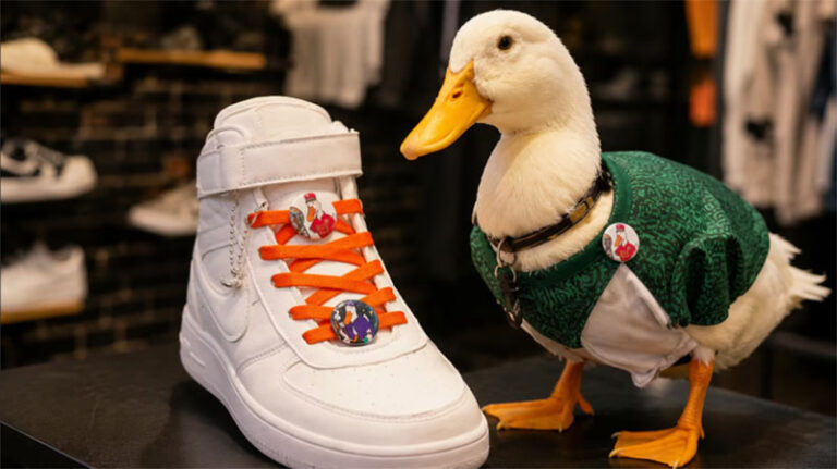 Se acabó el Mundial y con él, el Pato Merlin