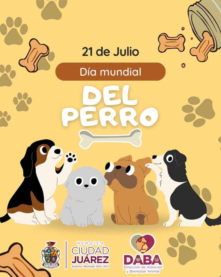 Celebra DABA el Día Mundial del Perro