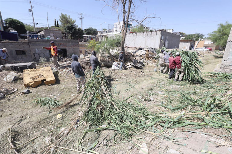 Inicia Limpia labores preventivas de limpieza en arroyos y diques