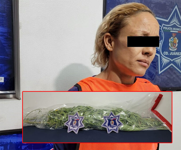 Policías Municipales detienen a mujer por daños y le aseguran planta de marihuana