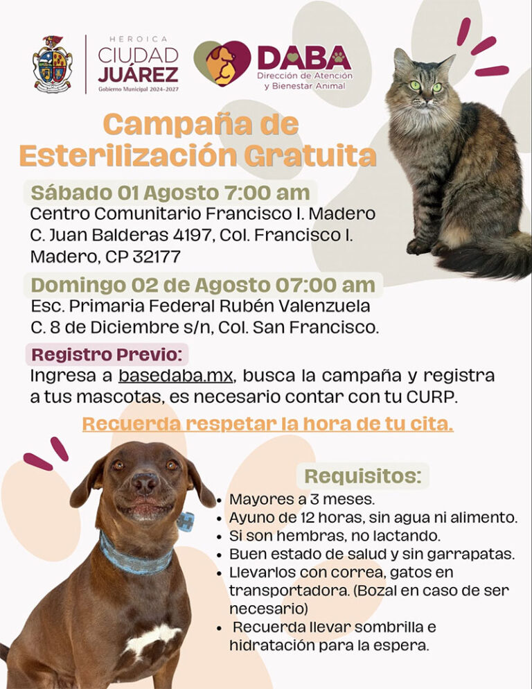 Llevará DABA mañana esterilizaciones gratuitas al comunitario Francisco I. Madero