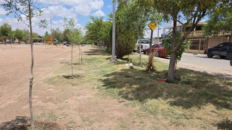 Refuerzan mantenimiento en el parque Bosques de Waterfill