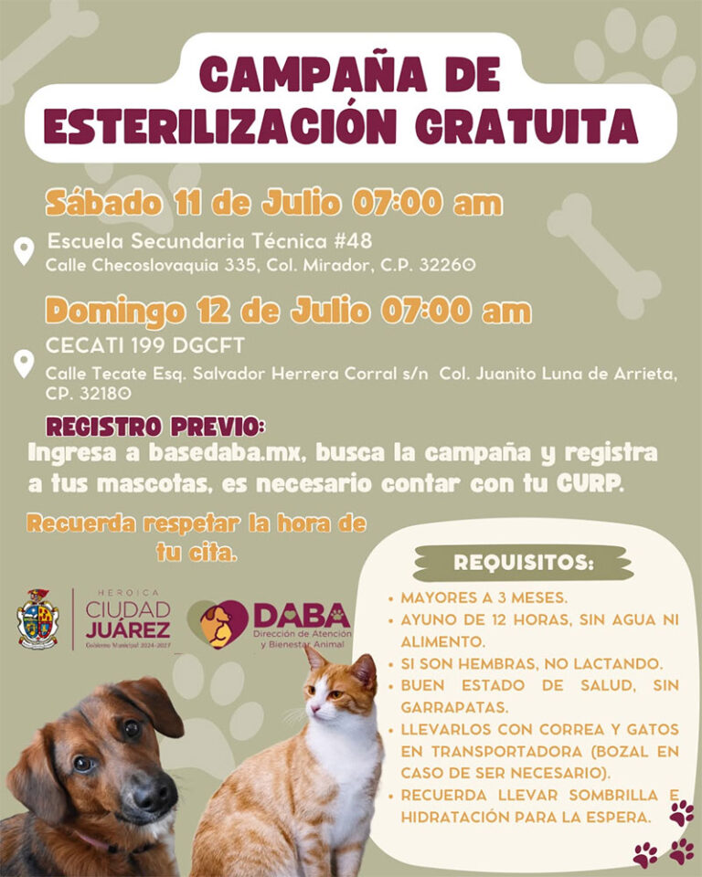 Continúa DABA acercando las esterilizaciones gratuitas