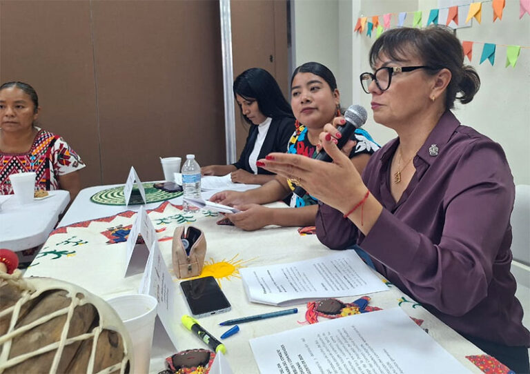 Se efectúa la primera sesión del Consejo Consultivo de Comunidades Indígenas