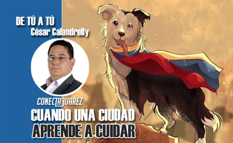 CUANDO UNA CIUDAD APRENDE A CUIDAR