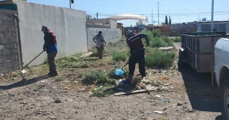 Intervienen Parque Lineal Hacienda Tierra Blanca con jornada integral de limpieza
