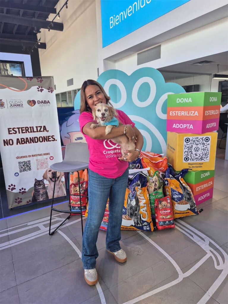 Esteriliza DABA 505 perritos y gatitos en Parajes del Sur