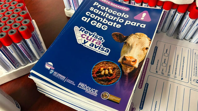 Capacita Secretaría de Desarrollo Rural contra el GBG a más de mil productores