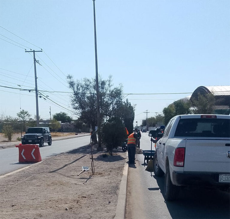 Realiza Dirección de Limpia trabajos de mantenimiento en la calle Palacio de Mitla
