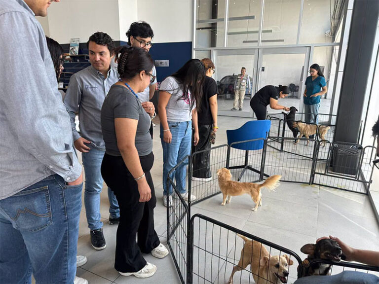 Realizó DABA varias actividades durante agosto en favor de los animalitos