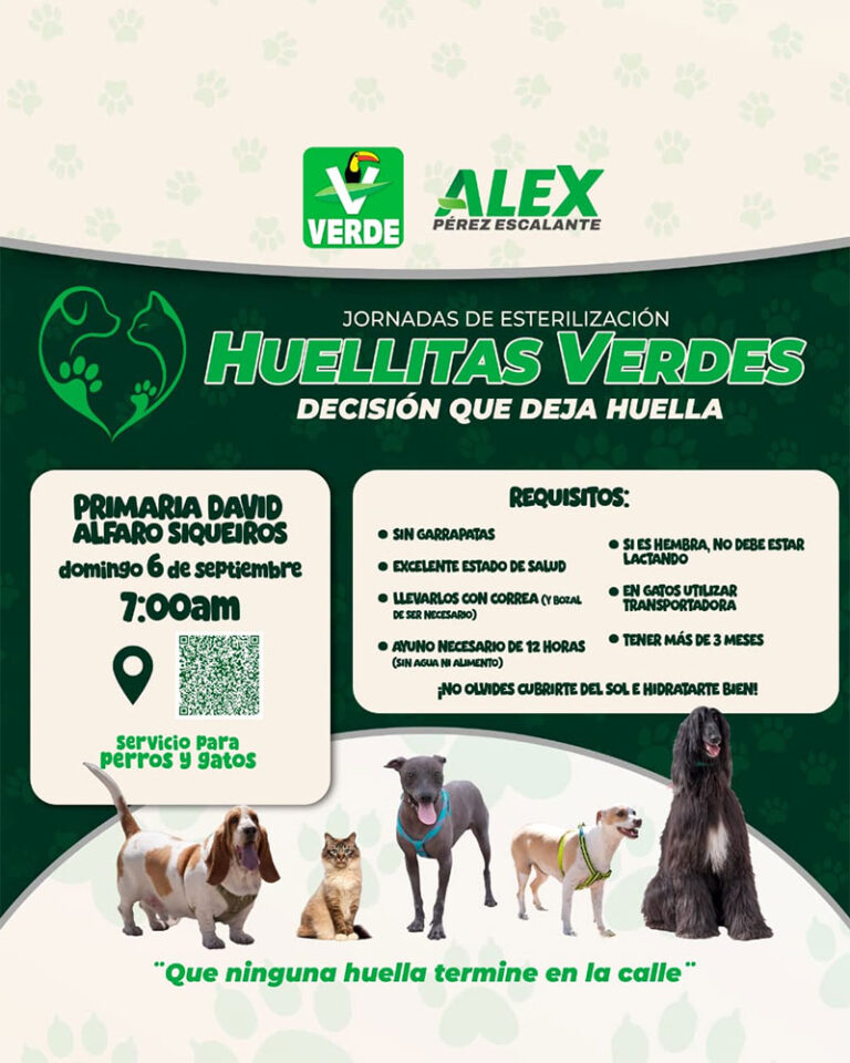 Realizará Partido Verde Juárez primera jornada de esterilización gratuita para perros y gatos