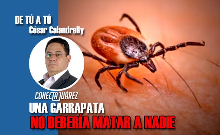 UNA GARRAPATA NO DEBERÍA MATAR A NADIE