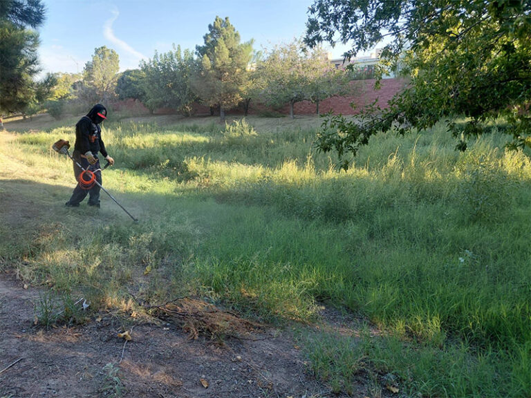 Mejoran imagen de parque lineal de Quintas del Valle