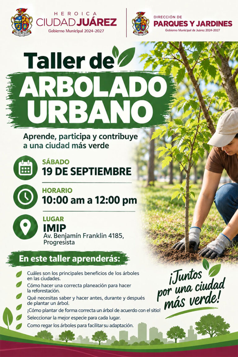 Capacitarán a ciudadanos en técnicas de plantación y cuidado de árboles