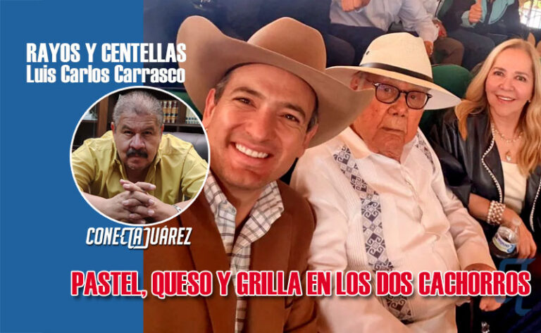 PASTEL, QUESO Y GRILLA EN LOS DOS CACHORROS
