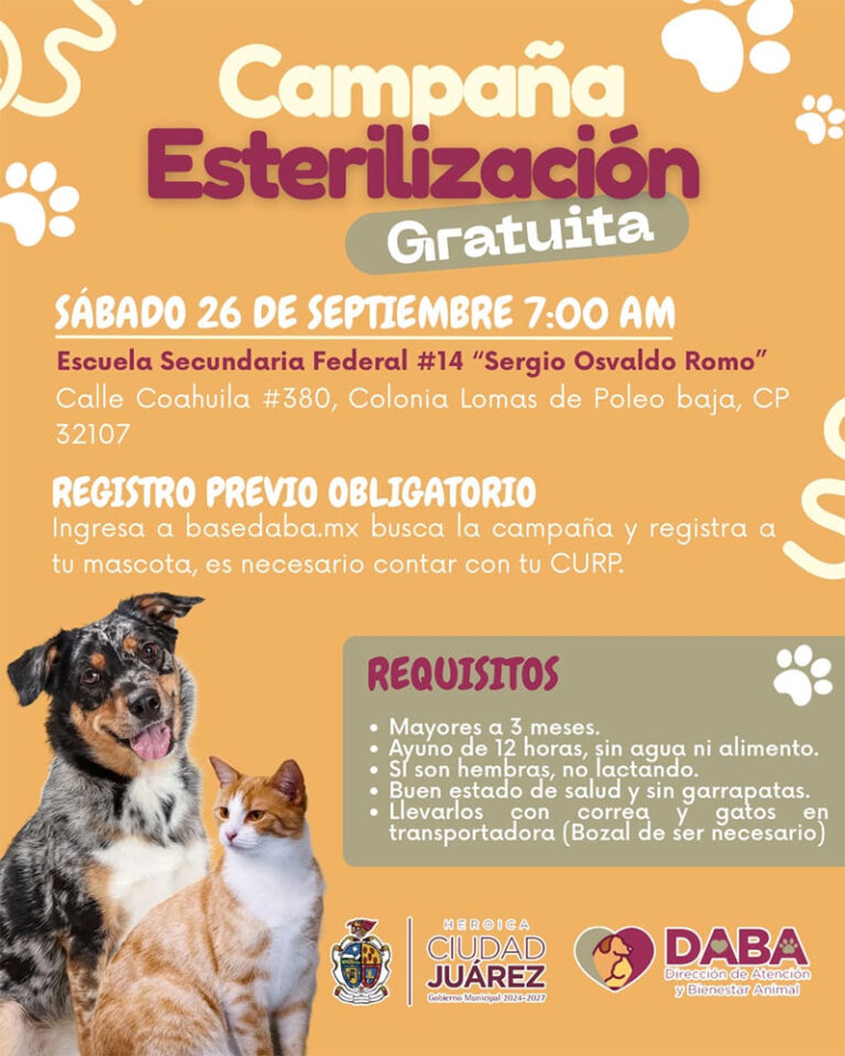 Esterilizará DABA perritos y gatitos de Lomas de Poleo y Fraccionamiento Roma este fin de semana