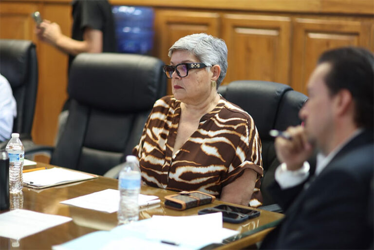 Analiza Comisión de Hacienda autorización presupuestaria para continuar construcción del Parque Norponiente