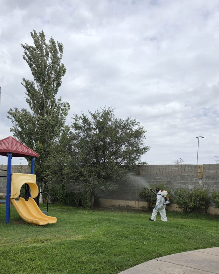 Sigue Dirección de Ecología nebulizando diversos sectores de la ciudad