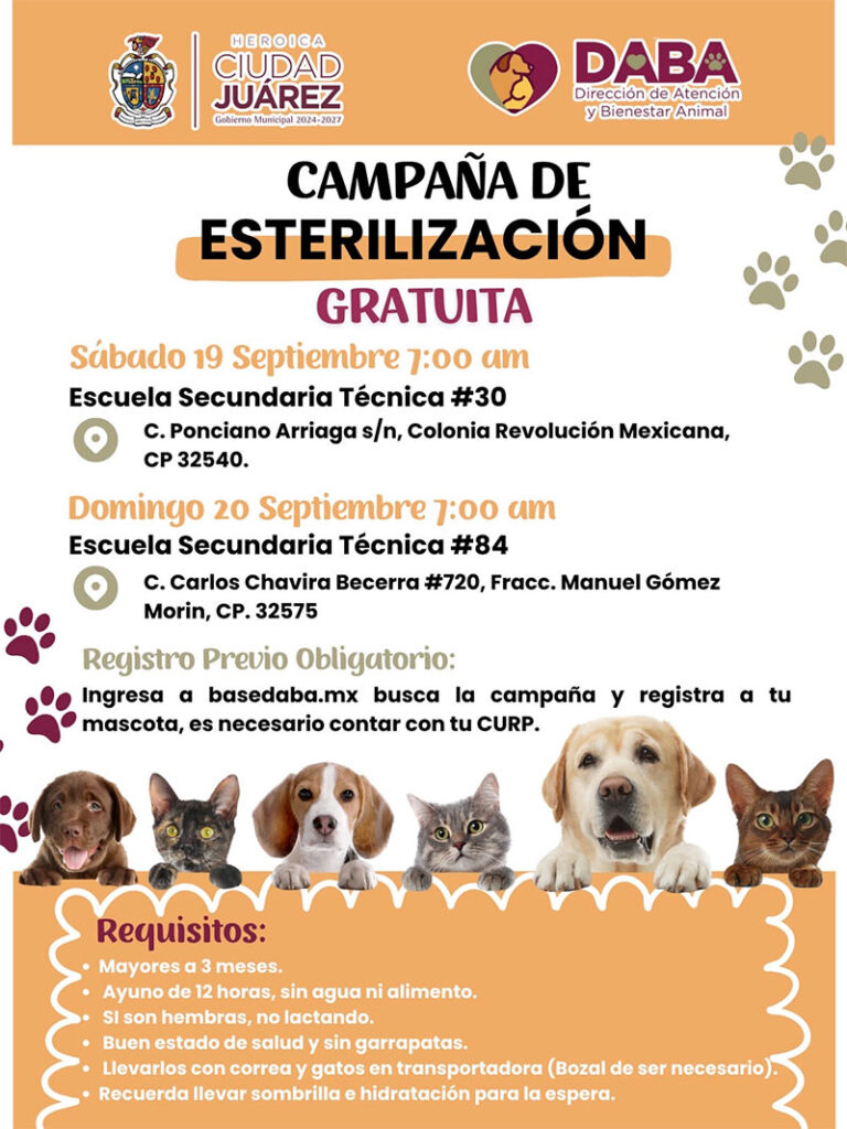 Llevará DABA este fin de semana esterilizaciones gratuitas a diferentes puntos de la ciudad
